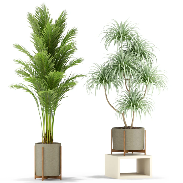 Plants collection 343 — Descargar