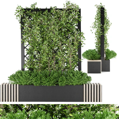 Collection plant vol 16 — Ver 1
