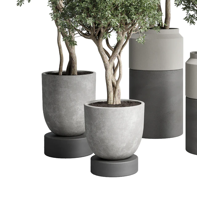 Collection Indoor plant 189 concrete dirt vase pot Tree — Descargar