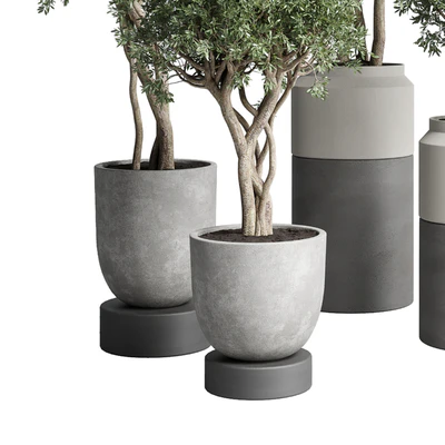 Collection Indoor plant 189 concrete dirt vase pot Tree — Ver 2
