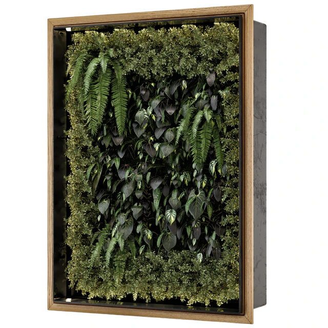 Indoor Wall Vertical Garden in Wooden Base - Set 523 — Download