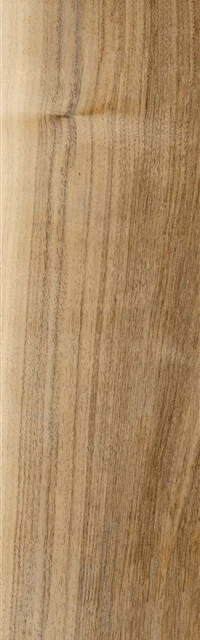 Yurtbay Pine Oak 20x120 — Скачать