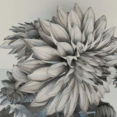 flowers dahlias — Ver 2