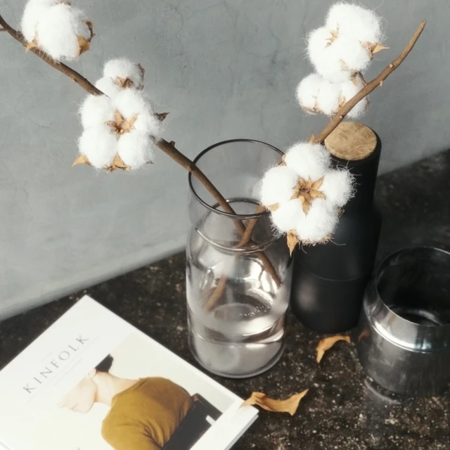 Cotton Branch Set — Скачать