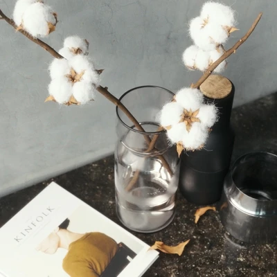 Cotton Branch Set — Вид 2