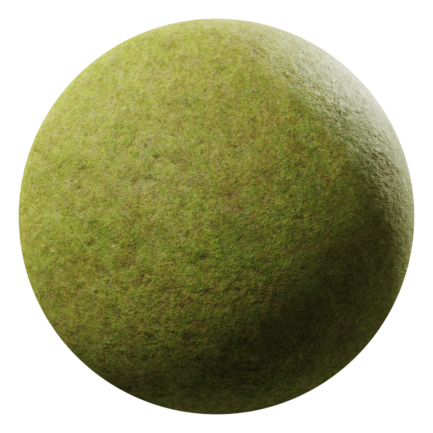 grass field green patchy 001 — Скачать