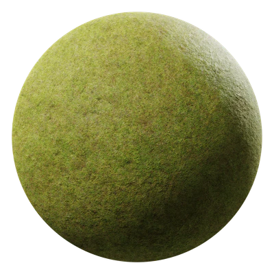 grass field green patchy 001 — Скачать