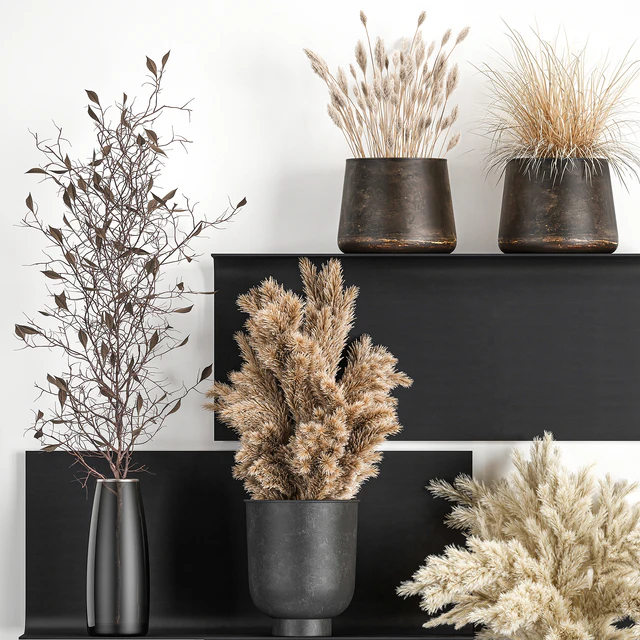 A set of bouquets of dried flowers in vases on a black metal shelf made of Pampas branches, reeds. 119 — Descargar