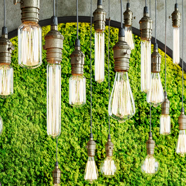 Decor set with moss and lamps — Скачать