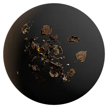 dried leaf pile 001 — Descargar