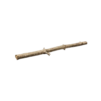 old tree branch 003 — Descargar