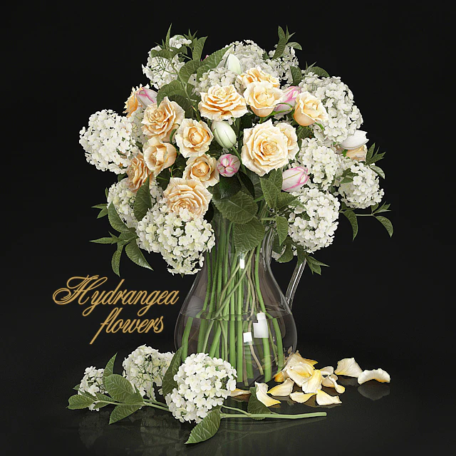 Hydrangea flowers — Descargar