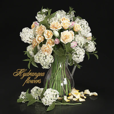 Hydrangea flowers — Ver 1