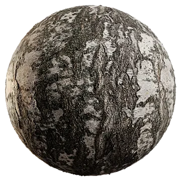 silver birch bark 005 — Скачать