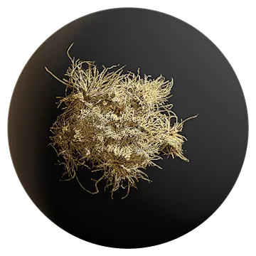 dry grass patch 001 — Descargar