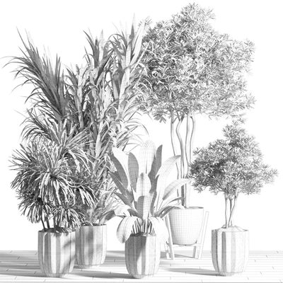 indoor plant - set 60 — Вид 2