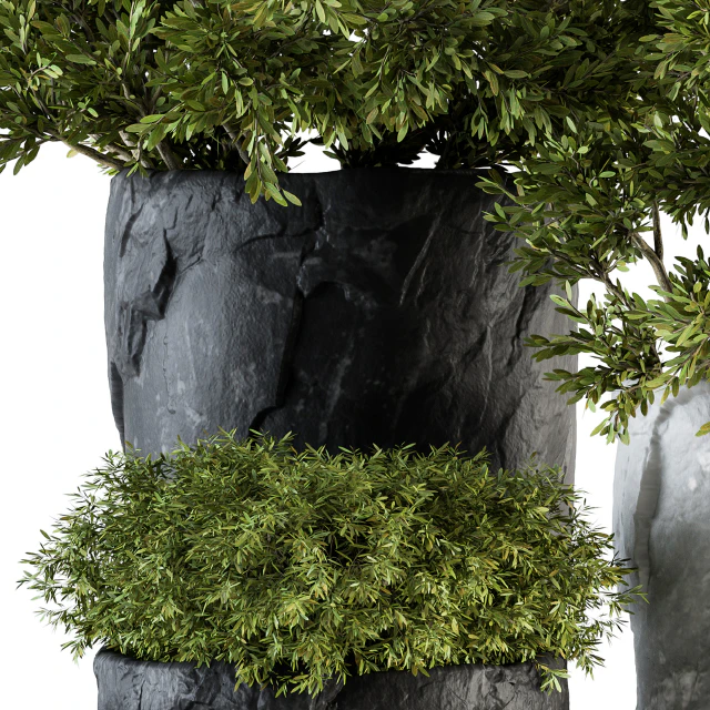 Outdoor Plants tree in Rock Pot - Set 136 — Скачать