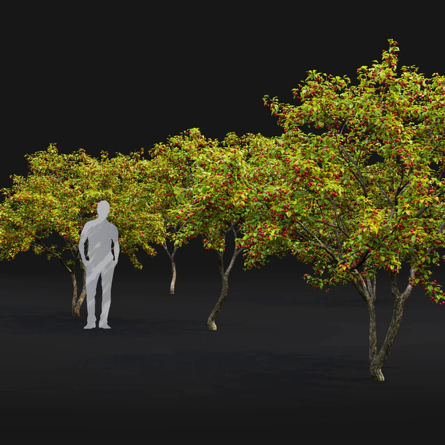 Malus  tree — Descargar