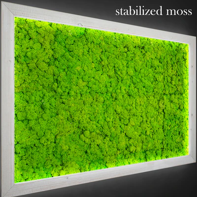 Stabilized moss. — Ver 2