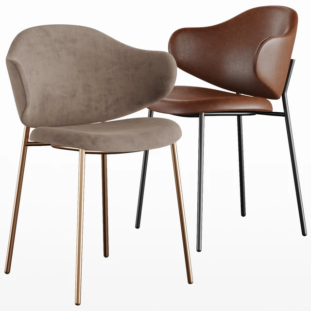 Holly chair Calligaris — Скачать