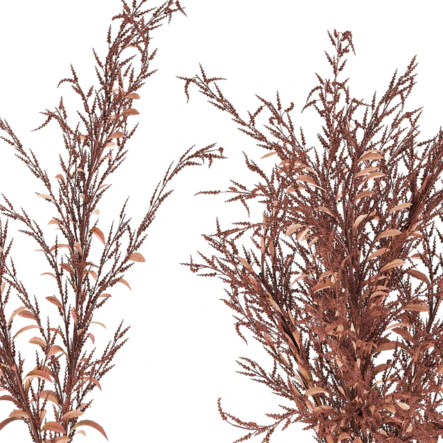 Bouquet of red branches of dried flowers in a glass vase with Goldenrod, Solidago. Set 153. — Descargar