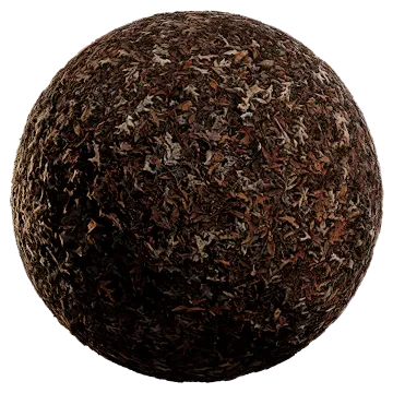 dry fallen leaves 005 — Descargar