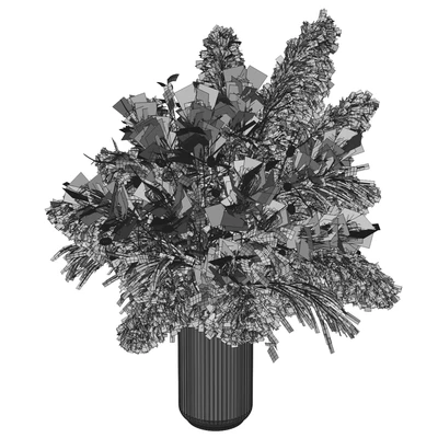 Dry plants — Вид 2