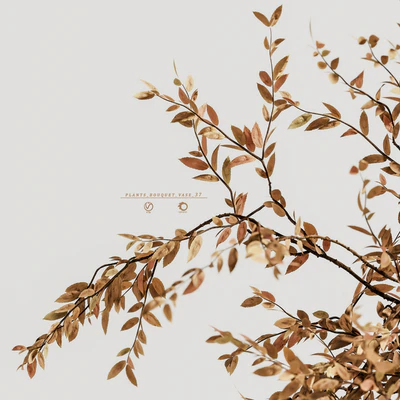 plants bouquet vase 37 — Вид 2