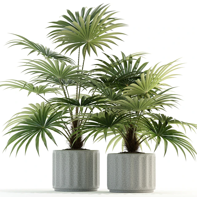 Plants collection 94 — Скачать