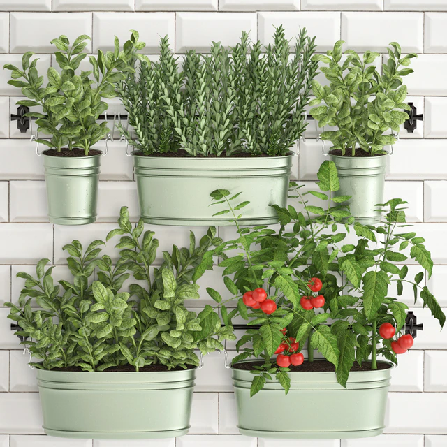 Plant Collection 382. Кухонный сад, огород, кухонный фартук, плитка, овощи, зелень, помидоры, розмарин, базилик, рейлинг — Descargar