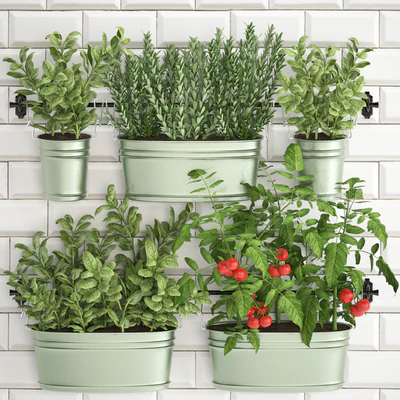 Plant Collection 382. Кухонный сад, огород, кухонный фартук, плитка, овощи, зелень, помидоры, розмарин, базилик, рейлинг — Ver 1