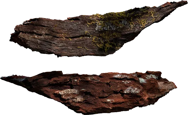 tree bark 020 — Descargar