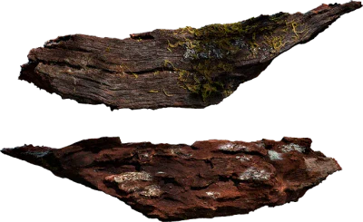 tree bark 020 — Descargar