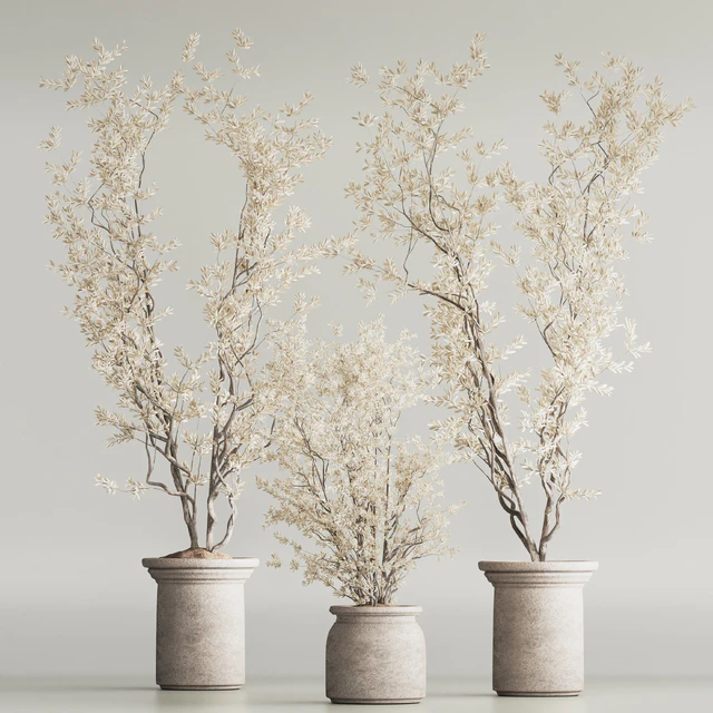 Indoor Plant Set 81 Dry Plants — Descargar
