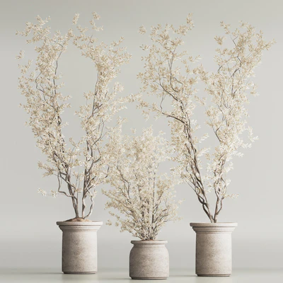 Indoor Plant Set 81 Dry Plants — Ver 2