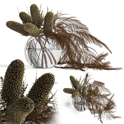 Dry banksia and fern — Ver 1