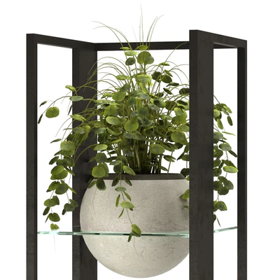 Collection Indoor Plants Nim12 — Вид 2