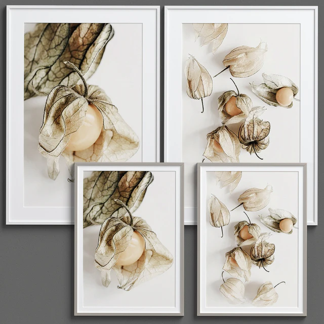Framed Print P-204 — Скачать