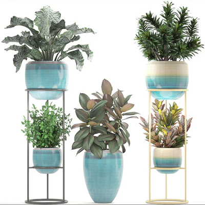 Collection of plants. Shelf with flowers, flower stand, pot, ficus, croton, alocasia, flowerpot, dracaena — Ver 2