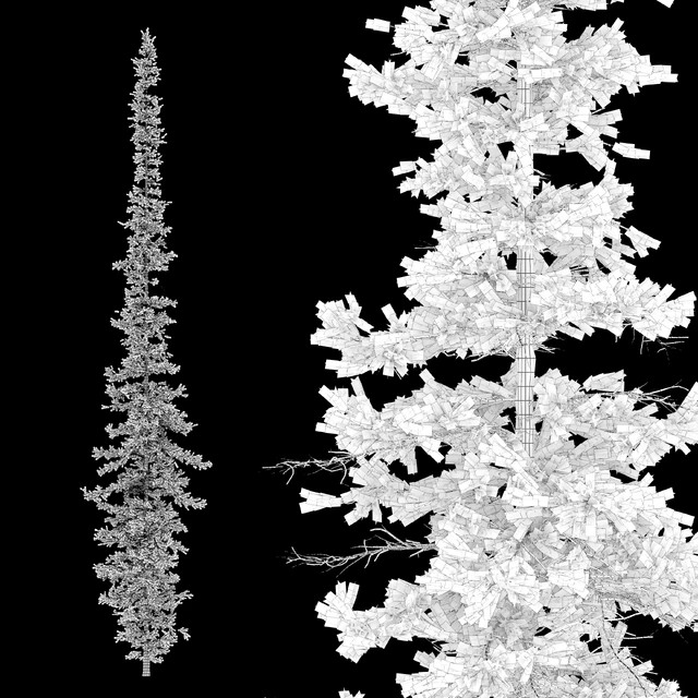 Fir tree 04 — Скачать