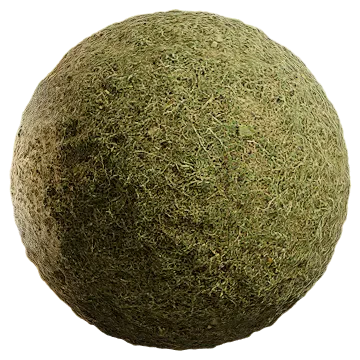 grass dried 064 — Скачать