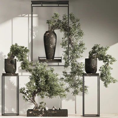 Bonsai and Indoor Plant Set 38 — Вид 1