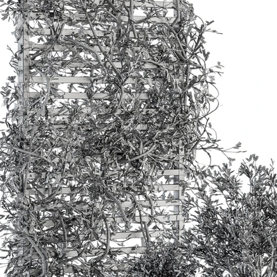Garden set ivy and Bush - Garden Set 13 — Ver 2