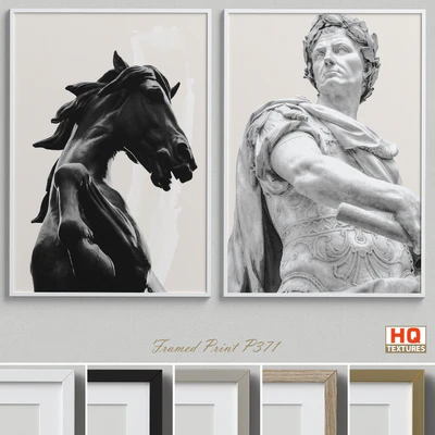 Framed Print P-371 — Ver 1