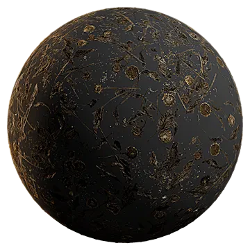 dried sunflowers 001 — Скачать