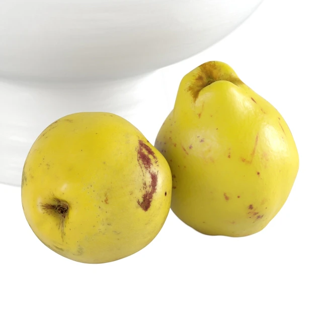 Quinces in a vase — Descargar