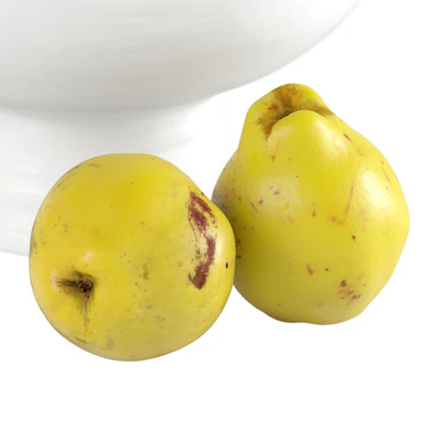 Quinces in a vase — Ver 2