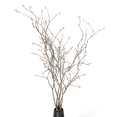 Decorative branch 10 — Ver 2