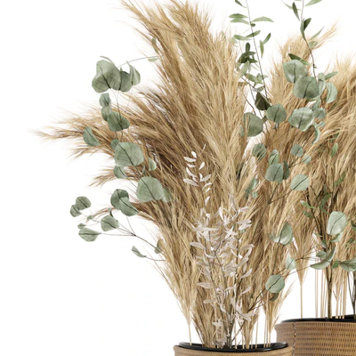 Dry plants 20 - Dried Plantset Pampas set with Wicker Basket — Ver 2