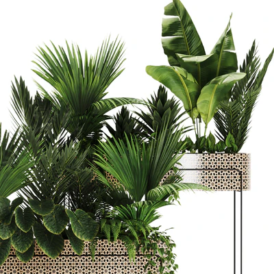 Indoor plants in box set-70 — Ver 2